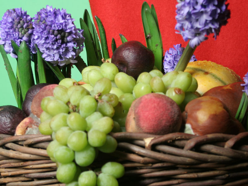 P-Sequence_1400x1050_00652